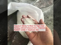高収量農業と土壌改良のためのカリウムナイトレート肥料 東南アジアで栄養素の摂取を改善